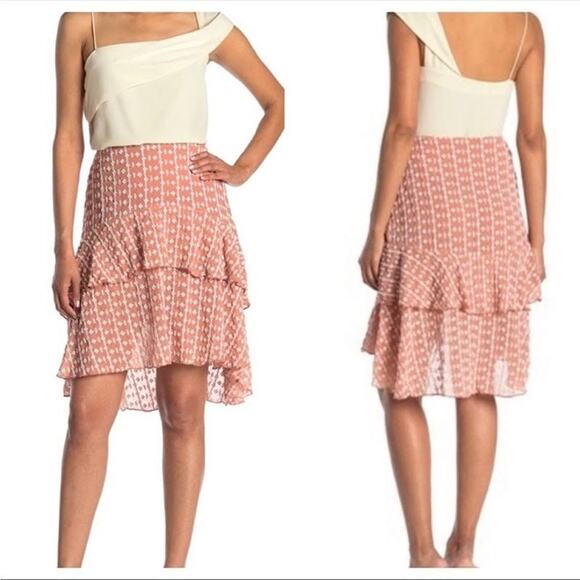 Walter Baker Jeannie Embroidered Ruffle High Low A-line Skirt NEW Women's 6 - Picture 1 of 10